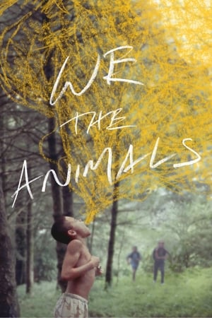 En dvd sur amazon We the Animals
