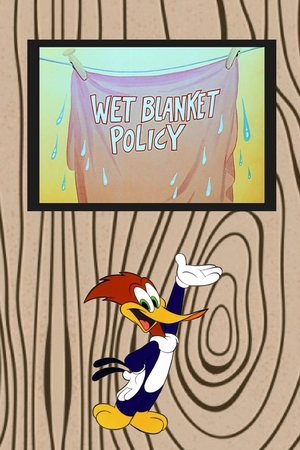En dvd sur amazon Wet Blanket Policy