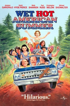 En dvd sur amazon Wet Hot American Summer