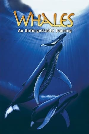En dvd sur amazon Whales: An Unforgettable Journey