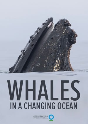En dvd sur amazon Whales in a Changing Ocean