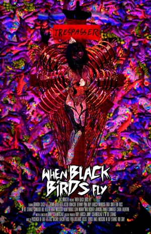 En dvd sur amazon When Black Birds Fly