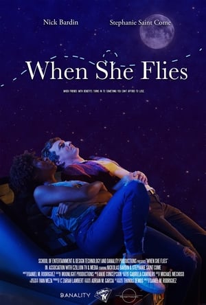 En dvd sur amazon When She Flies