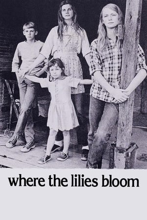 En dvd sur amazon Where the Lilies Bloom