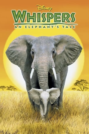 En dvd sur amazon Whispers: An Elephant's Tale