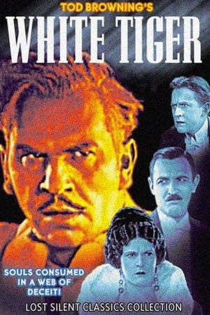En dvd sur amazon White Tiger
