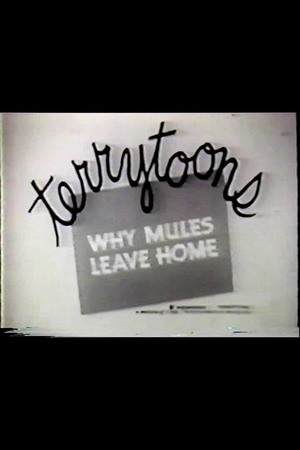 En dvd sur amazon Why Mules Leave Home
