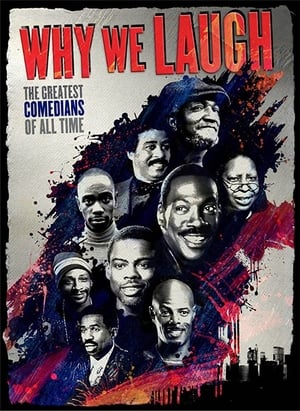 En dvd sur amazon Why We Laugh: Black Comedians on Black Comedy