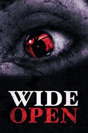 En dvd sur amazon Wide Open