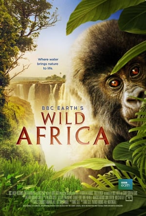 En dvd sur amazon Wild Africa