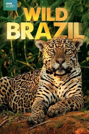 En dvd sur amazon Wild Brazil