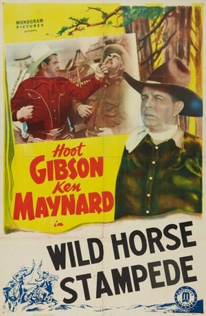 En dvd sur amazon Wild Horse Stampede