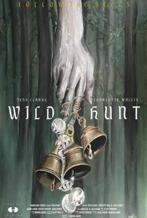 En dvd sur amazon Wild Hunt