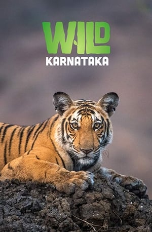 En dvd sur amazon Wild Karnataka