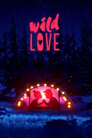 En dvd sur amazon Wild Love