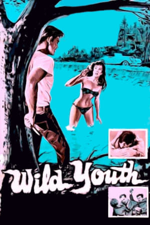 En dvd sur amazon Wild Youth
