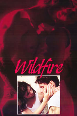 En dvd sur amazon Wildfire