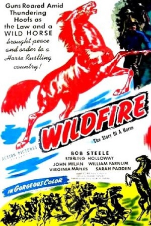 En dvd sur amazon Wildfire