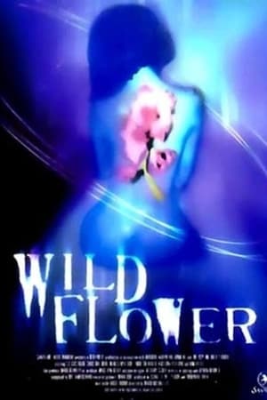 En dvd sur amazon Wildflower