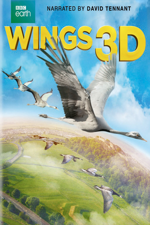 En dvd sur amazon Wings 3D