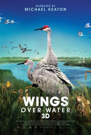 En dvd sur amazon Wings Over Water