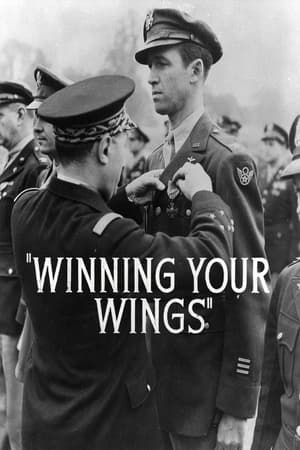 En dvd sur amazon Winning Your Wings