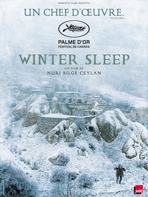 En dvd sur amazon Kış Uykusu