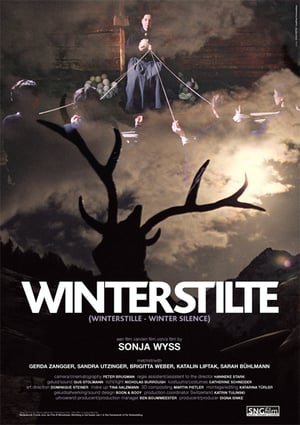 En dvd sur amazon Winterstilte