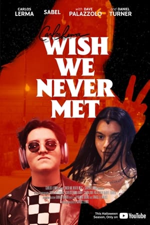 En dvd sur amazon Wish We Never Met