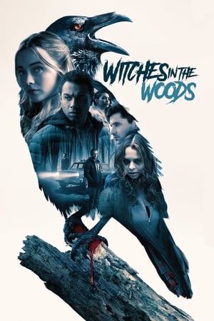 En dvd sur amazon Witches in the Woods