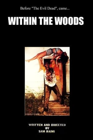 En dvd sur amazon Within the Woods