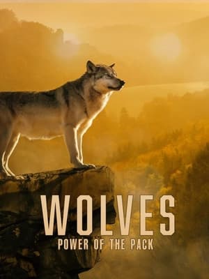 En dvd sur amazon Wolves: Power of the Pack