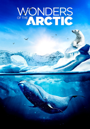 En dvd sur amazon Wonders of the Arctic