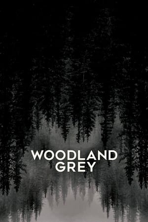 En dvd sur amazon Woodland Grey