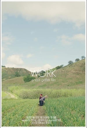 En dvd sur amazon Work