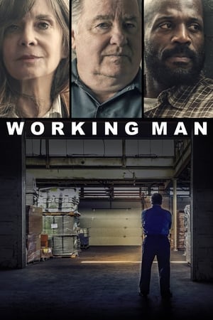 En dvd sur amazon Working Man