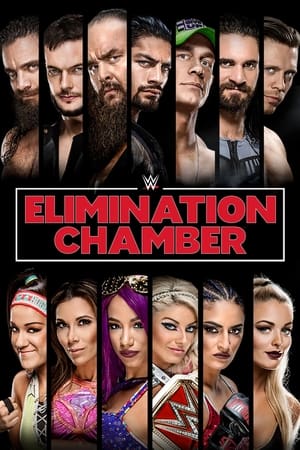 En dvd sur amazon WWE Elimination Chamber 2018