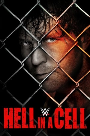 En dvd sur amazon WWE Hell In A Cell 2014