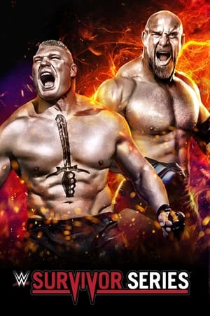 En dvd sur amazon WWE Survivor Series 2016