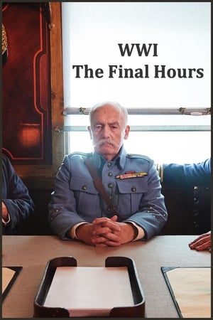 En dvd sur amazon WWI: The Final Hours