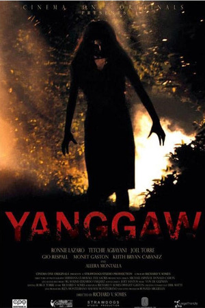 En dvd sur amazon Yanggaw