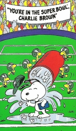 En dvd sur amazon You're in the Super Bowl, Charlie Brown!