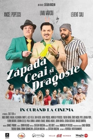 En dvd sur amazon Zăpadă, ceai și dragoste