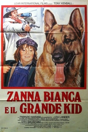 En dvd sur amazon Zanna Bianca e il grande Kid