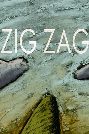En dvd sur amazon Zig Zag