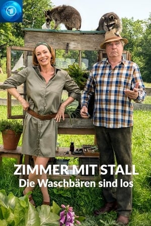 En dvd sur amazon Zimmer mit Stall - Die Waschbären sind los