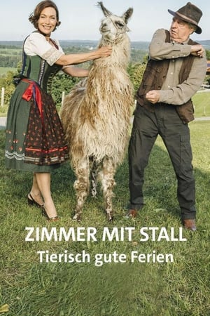 En dvd sur amazon Zimmer mit Stall - Tierisch gute Ferien