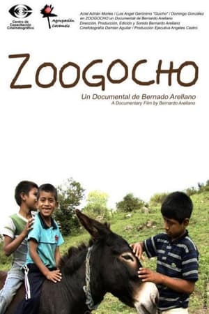 En dvd sur amazon Zoogocho