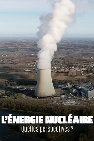 En dvd sur amazon Zukunft der Atomenergie